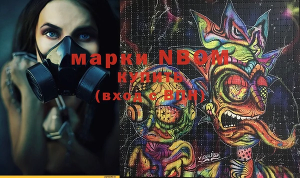 apvp Коряжма