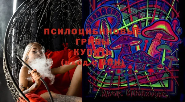 эйфоретик Корсаков